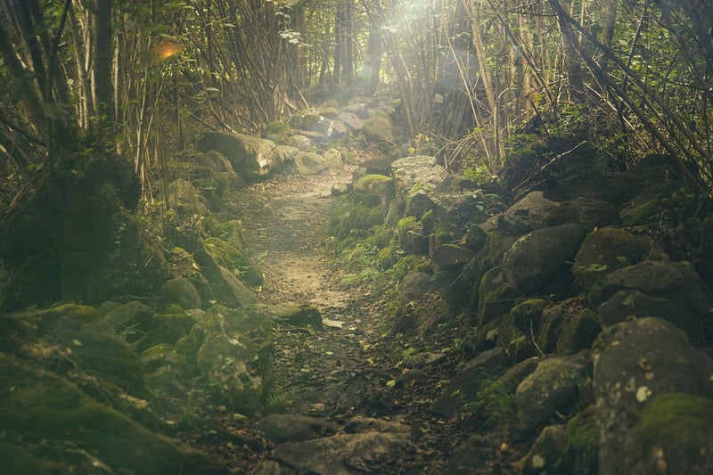 Mystical Woodland Reception